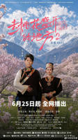 电视剧《去桃花盛开的地方2》全集完整版