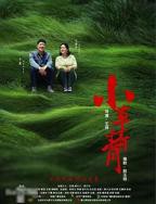 《小草青青》高清免费观看电视剧大全
