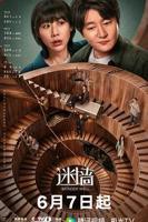 《迷墙》电视剧免费观看全集高清完整版